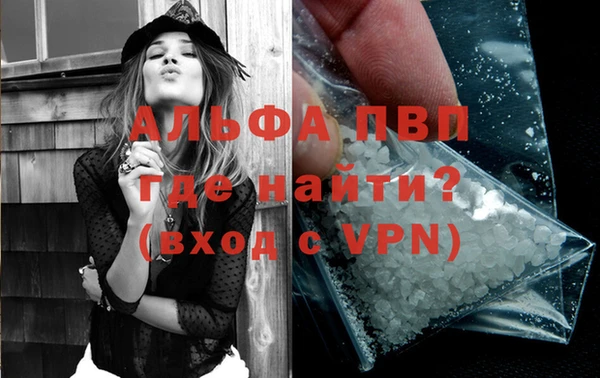 гашик Сосновый Бор