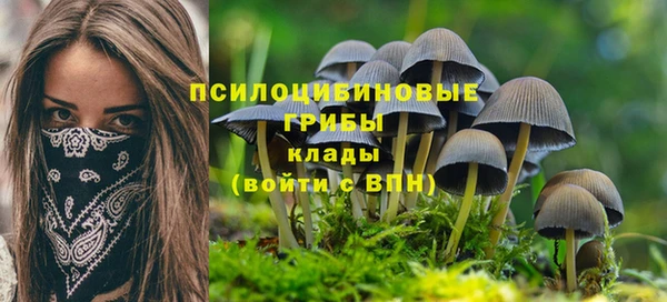дурь Белокуриха