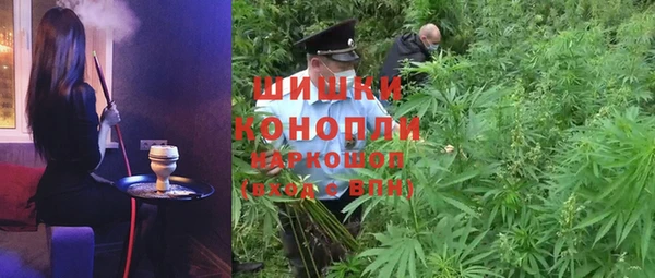 гашик Сосновый Бор