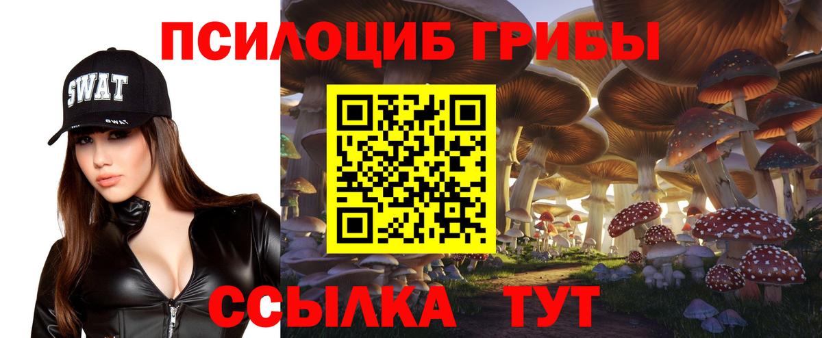 Воскресенск  Псилоцибиновые грибы мицелий  Вход с VPN 